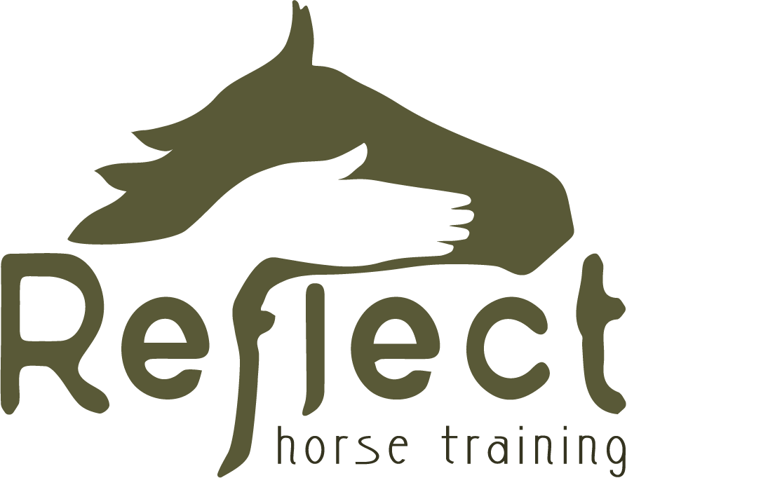 Reflect Horse Training