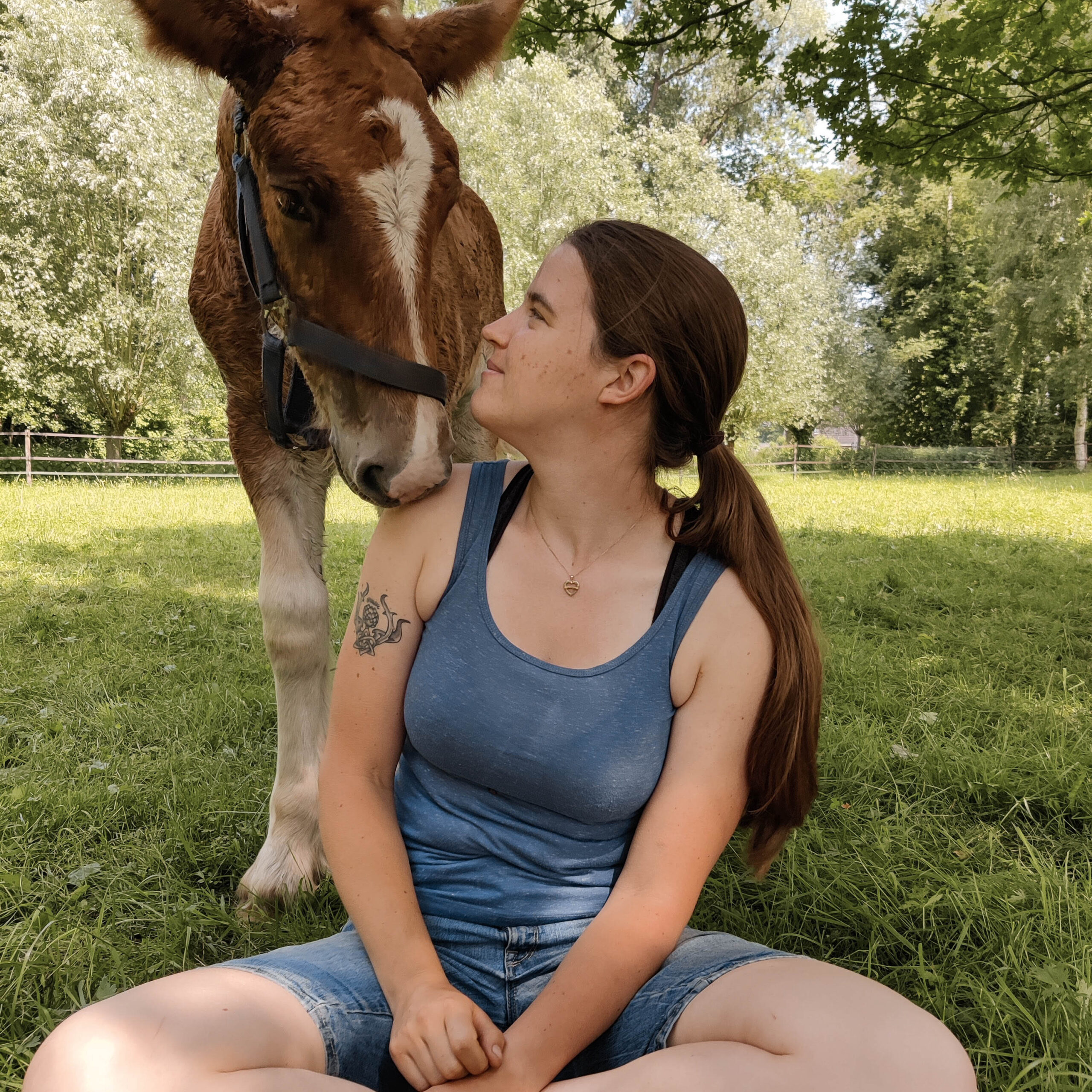 Reflect Horse Training | Kerewin met Birk